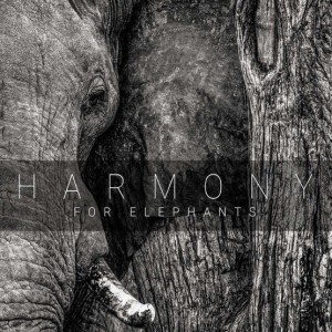 Harmony For Elephants